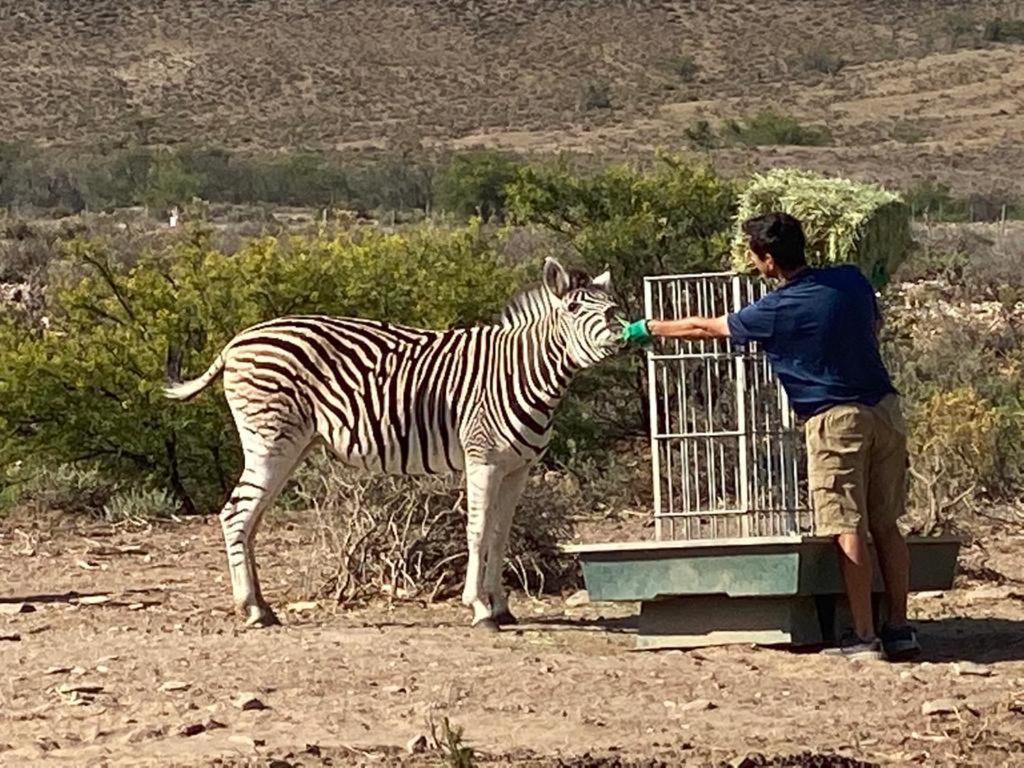 Aardvark Bioreserve Ladismith Bagian luar foto